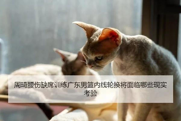 周琦腰伤缺席训练广东男篮内线轮换将面临哪些现实考验