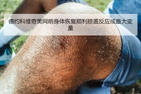 德约科维奇美网前身体恢复顺利膝盖反应成最大变量